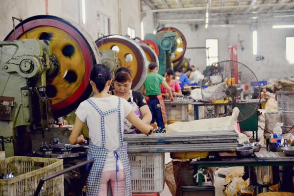 20612037444 826595093