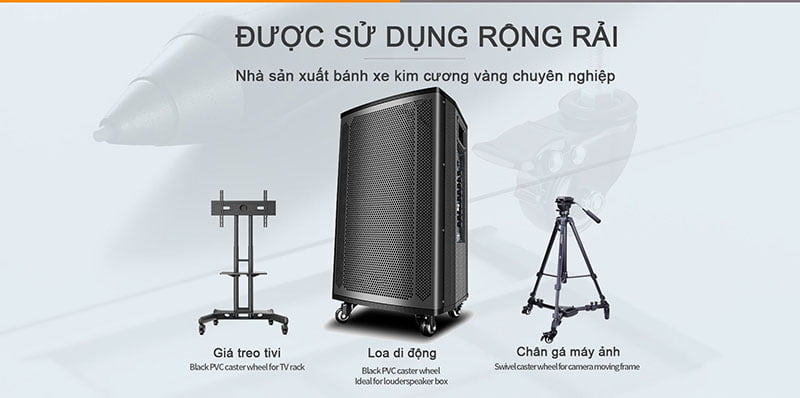Banh-xe-kim-cuong-vang-bhtvn-800